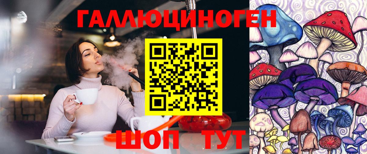Псилоцибиновые грибы Psilocybe  Вход с VPN  Псилоцибиновые грибы Magic Shrooms  Славгород 