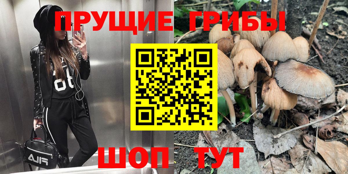 Псилоцибиновые грибы MAGIC MUSHROOMS Славгород